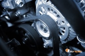 Photo of timing belt