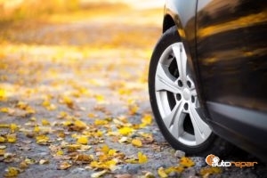 Car Tire on Road